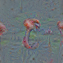 n02006656